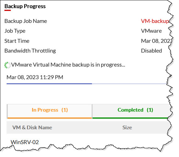 BDRSuite VMware
