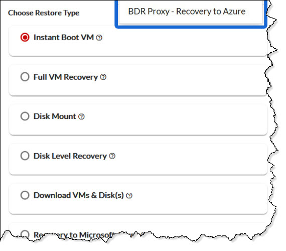 BDRSuitte VMware VM/Data Recovery